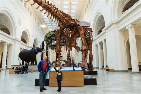 new saurus at the field museum chanel 9 wgn